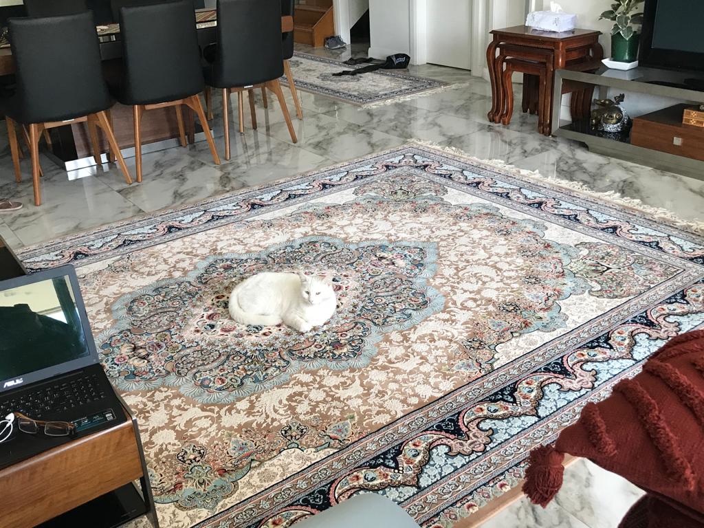 Quality Rugs and carpet designers, manufacturers and flooring store ...