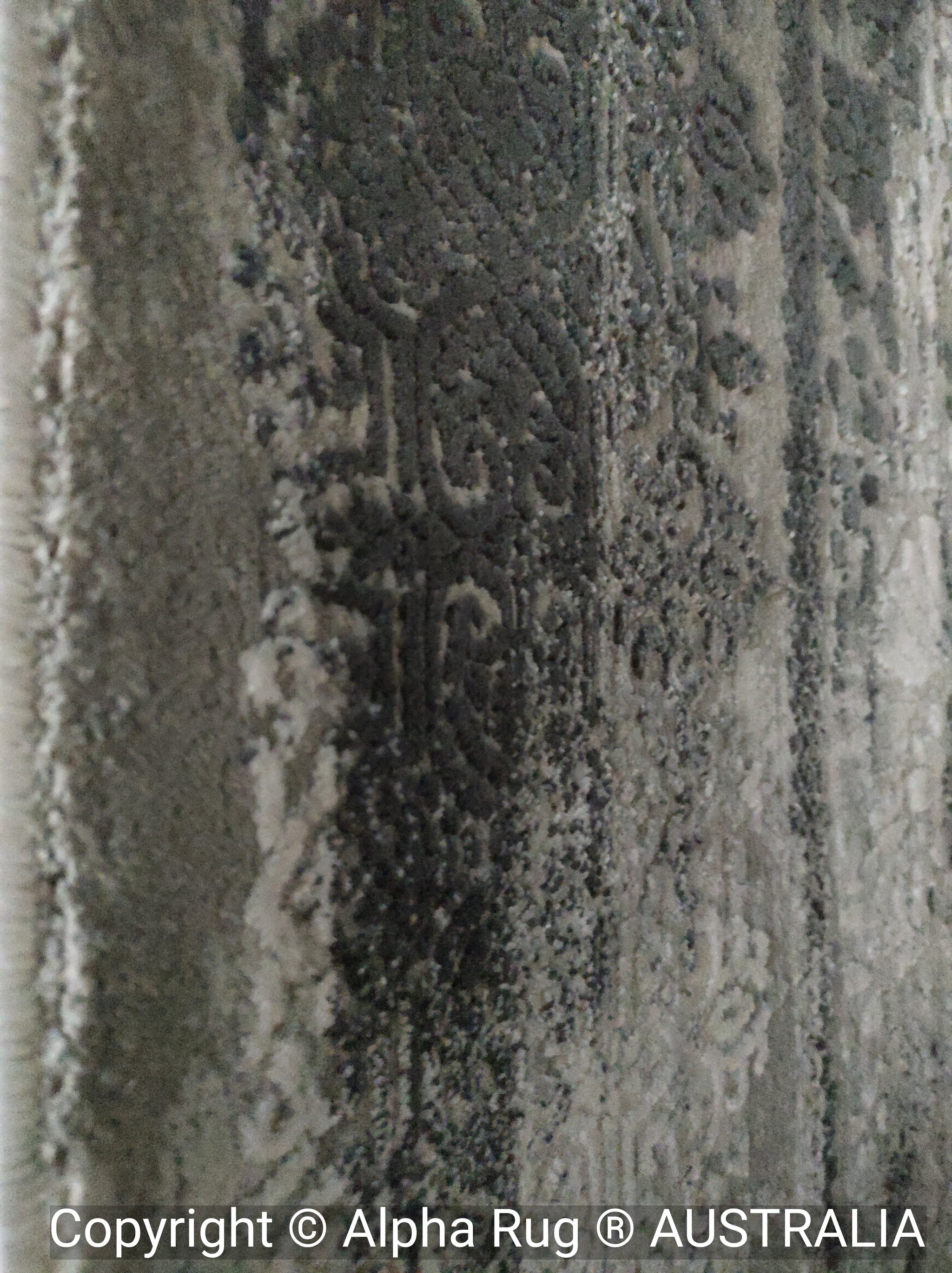 Shopping Rugs By Style — Alpha rug