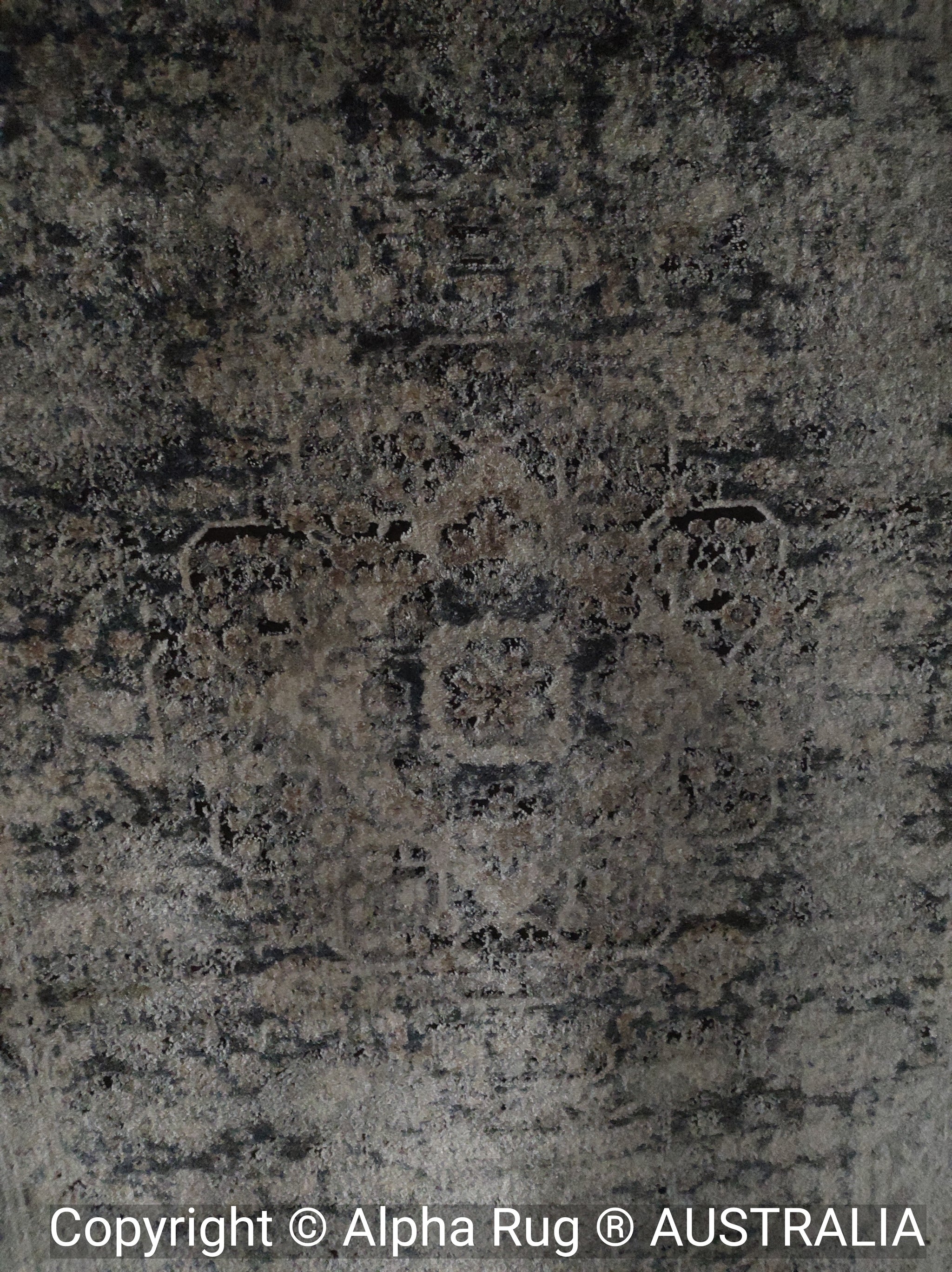 Shopping Rugs By Style — Alpha rug