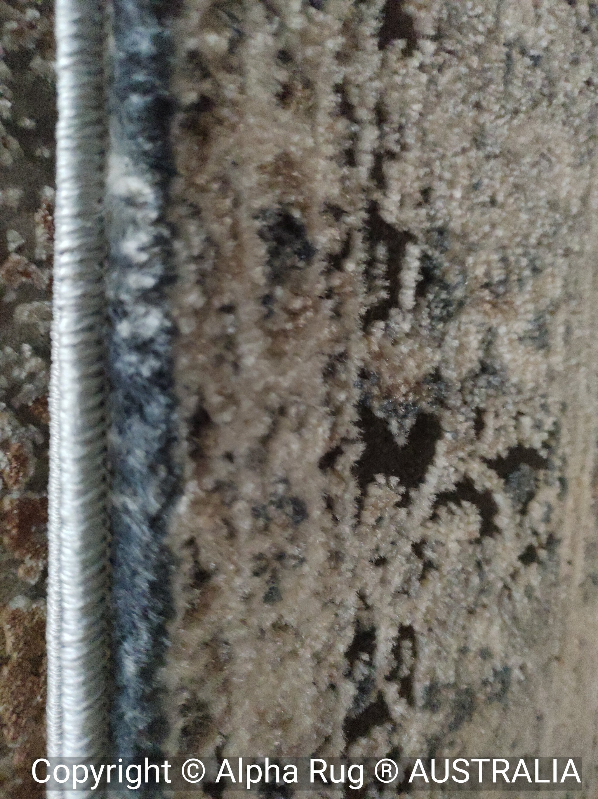 Shopping Rugs By Style — Alpha rug